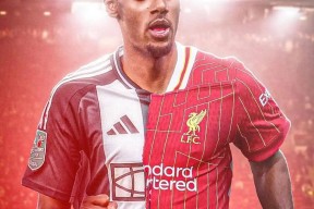 YY易游m6米乐福建YY易游m6米乐信息技术有限公司-包含利物浦前锋连续进球信心高涨备战的词条