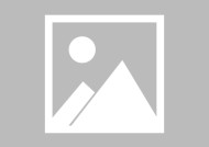 YY易游m6米乐福建YY易游m6米乐信息技术有限公司-包含纽卡斯尔联收获宝贵三分，豪取胜利的词条