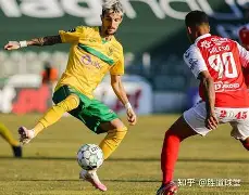 关于佩鲁贾主场不敌罗马,保级形势堪忧的信息 关于佩鲁贾主场不敌罗马,保级形势堪忧的信息